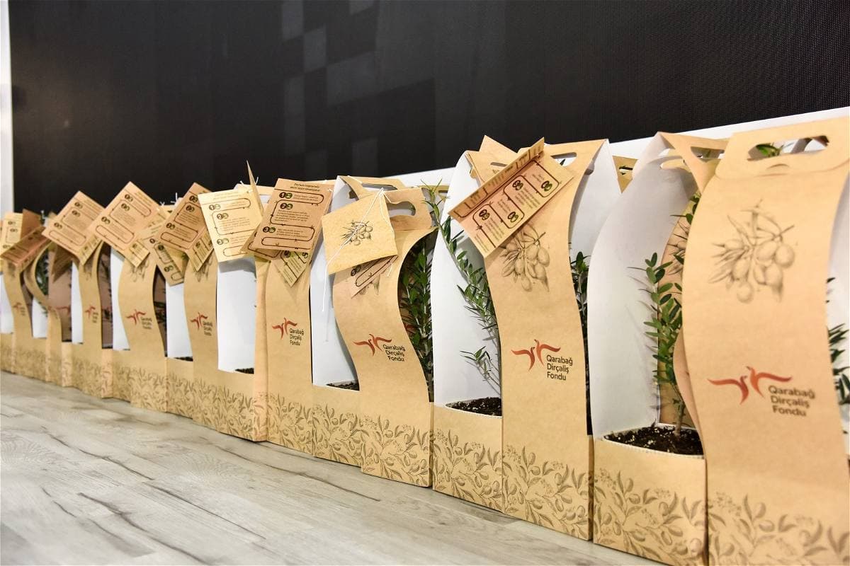 Azərbaycanın yamyaşıl dağları